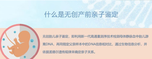 贵阳怀孕亲子鉴定准不准确,